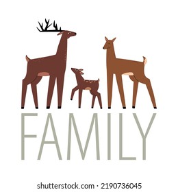 Deer Family Drawn In Flat Style By Hands. Vector Children's Illustration.