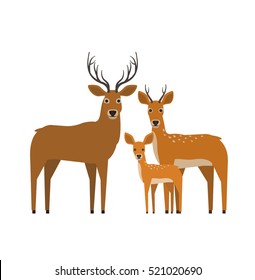 deer family in flat style on white background