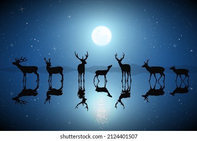 Deer Family On Frozen Lake. Animal Herd Silhouette. Full Moon At Night