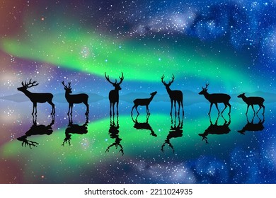 Deer Family On Frozen Lake. Animal Herd Silhouette. Aurora Borealis