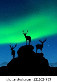 Deer family on rocks. Wild animal silhouettes. Green aurora borealis