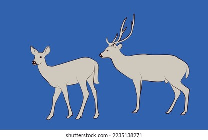 Deer - deer family. Deer in various poses. vector illustration