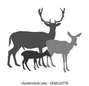 Deer  family vector silhouette isolated on white background. Reindeer couple with fawn. Proud Shape shadow deer male in forest or zoo. Powerful buck huge antlers standing on alert looking.