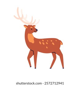 Deer, fawn with antlers and spotted fur. Cute wild animal, bambi with horns, looking back. Adorable forest character, baby fauna, mammal. Flat vector illustration isolated on white background