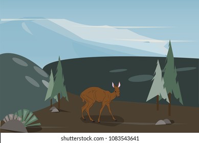 deer female color, vector, Outdoors
