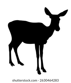 Deer female vector silhouette illustration isolated. Reindeer fawn shape. Proud Noble Deer in forest or zoo. Roe deer standing on alert looking. Doe isolated. Fawn elk shadow.