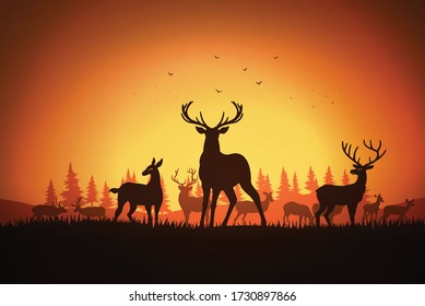 Deer in the fields at sunset,Black silhouette illustration