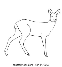 Deer flat illustration on white