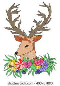 Deer and  flowers on white background for greeting cards and invitations. Vector illustration.