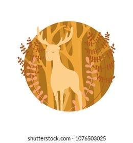 Deer in the forest