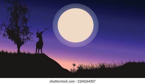 Hirsche in bewaldeten schönen Nachtlandschaften