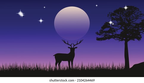 deer in forest beautiful night scenery