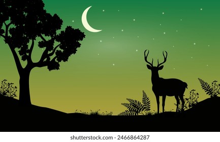 deer in forest beautiful night scenery