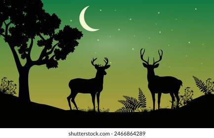 deer in forest beautiful night scenery