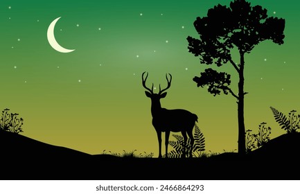 deer in forest beautiful night scenery