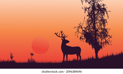deer in the forest beautiful sunset scenery vector illustration