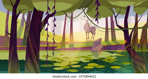 Deer in forest with swamp. Summer landscape of woodland with pond with water lilies, trees, lianas and green grass. Vector cartoon illustration of stag with antlers in park or forest with lake