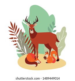 deer fox and squirrel happy autumn season