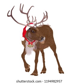 Deer in a funny Santa's red cap. Christmas and New Year card. Vector illustration.