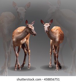 Deer in the geometric style