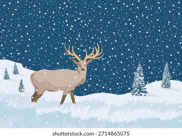 Veado pastando em uma clareira nevada sob a neve