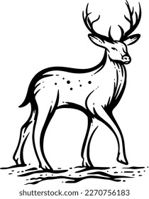 Deer Hand Draw Line Art 