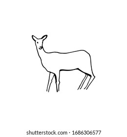 Deer hand drawn vector illustration line sketch isolated on white background.