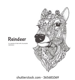 Deer. Hand-drawn reindeer with ethnic pattern. Coloring page - zendala, for  relaxation and meditation for adults, vector illustration, isolated on a white background. Zen doodle.