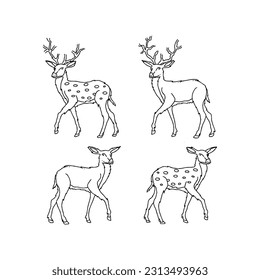 deer handrawn doodle illustrations vector set