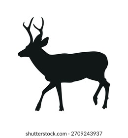  Deer have long legs slender bodies and are typically covered in fur which can have brown stripes or spots Some species like the musk deer stock vector photo black and white eps ai illustrate