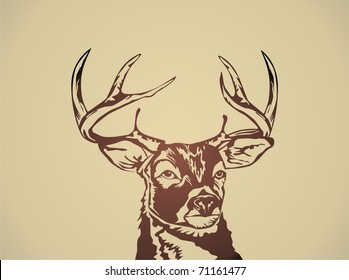 Deer Head