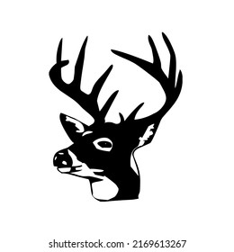 Deer head with antlers, mammal, wild animal, wildlife, vector, illustration in black and white color, isolated on white background
