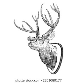 Deer Head With Antlers Vector 03. Isolated On White Background. A Vector Illustration Of An Deer Head Decor.