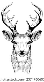 Deer head with antlers vector sketch drawing isolated on white background. Illustration nature animal