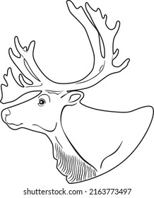 deer head art line handmade silhouette model 1