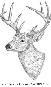 deer head with big horns black and white coloring sketch vector illustration print tattoo