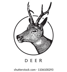 Deer head - black drawing isolated on white background.
Vector illustration of stags deer head in vintage style, graphic engraving design element for logo, pattern portrait of cute animal. 