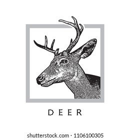 Deer head - black drawing isolated on white background.
Vector illustration of stags deer head in vintage style, graphic engraving design element for logo, pattern portrait of cute animal. 