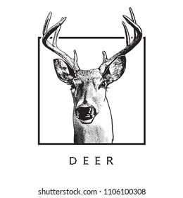 Deer head - black drawing isolated on white background.
Vector illustration of stags deer head in vintage style, graphic engraving design element for logo, pattern portrait of cute animal. 