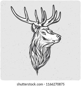 Deer head. Black and white illustration. Isolated on light backgrond with grunge noise and frame.