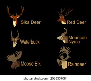 Deer head collection vector illustration isolated on black background. Mountain nyala antelope. Moose elk. Reindeer buck. Red deer grassing. Waterbuck african deer. Sika symbol. Safari trophy antlers.