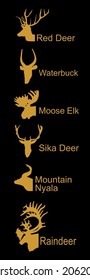 Deer head collection vector silhouette illustration isolated on black. Mountain nyala antelope. Moose elk. Reindeer buck. Red deer grassing. Waterbuck african deer. Sika symbol. Safari trophy antlers.