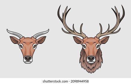 deer head and cow vector illustration