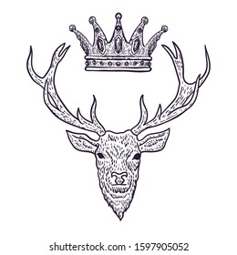 Deer Head with Crown Hand Drawn isolated on white Background. Vector illustration