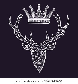 Deer Head with Crown Hand Drawn isolated on white Background. Vector illustration