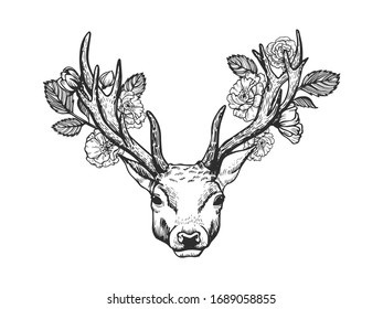 Deer head decorated with roses vector sketch for your design. Hand drawn stag face with horns decorated with flowers isolated on white background.