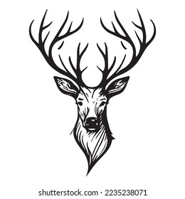 Deer head design in vintage style. Deer logo line vector