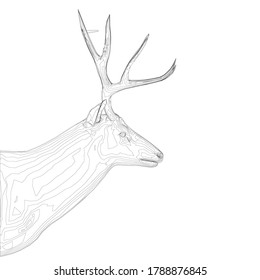 Deer head frame with large antlers from black lines on a white background. Side view. 3D. Vector illustration
