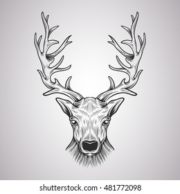 Deer Head in a graphic style