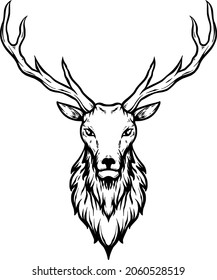 deer head hand drawing illustration